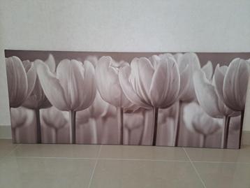 canvas beschikbaar voor biedingen