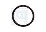 Rubber ring terugslagklep rembekrachtiger Amazon B20+140 676, Ophalen of Verzenden, Nieuw, Volvo