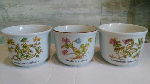 Vintage bloempotten botanica porselein 3 met schaal, Tuin en Terras, Bloempotten, Zo goed als nieuw, Binnen, Ophalen of Verzenden