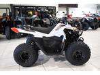 POLARIS Outlaw 70, Motoren, 70 cc, 1 cilinder