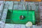 Cage lapin nain, Animaux & Accessoires, Enlèvement, Utilisé, Cage, Lapin