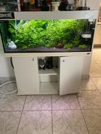 Aquarium, Dieren en Toebehoren, Ophalen, Gebruikt, Leeg aquarium