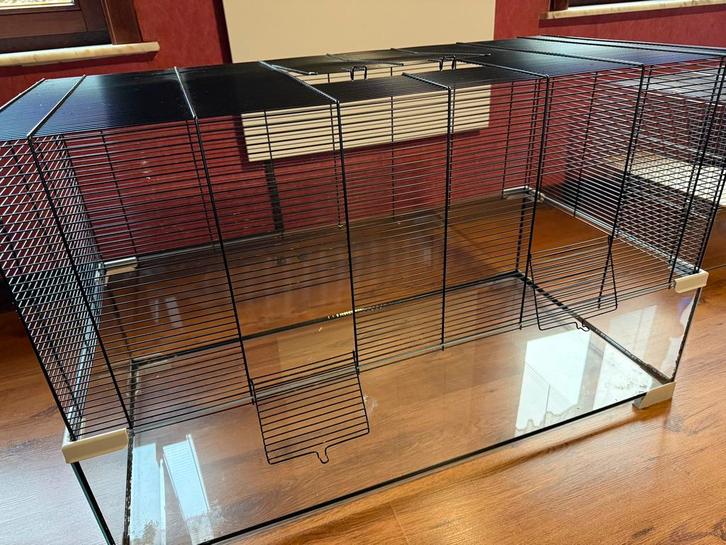 Kooi voor hamster, Dieren en Toebehoren, Knaagdieren en Konijnen | Hokken en Kooien, Gebruikt, Kooi, Minder dan 60 cm, 75 tot 110 cm