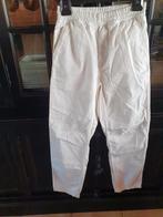 Witte NIEUWE broek van CARHARTT XS, Kleding | Heren, Wit, Zo goed als nieuw, Carhartt, Ophalen