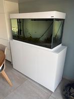Aquarium eau douce 200L - vendu avec accessoires et poissons, Animaux & Accessoires, Poissons | Aquariums & Accessoires, Enlèvement