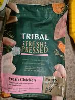 TRIBAL chicken Puppy - 5kg - hond - Geel - Putte, Enlèvement ou Envoi, Chien