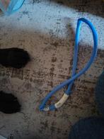 Led lamp hals hond, Ophalen of Verzenden, Nieuw