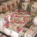 Puur bio-appelsap van eigen boomgaard, Ophalen