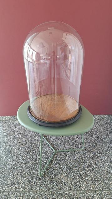 grote antieken stolp beschikbaar voor biedingen