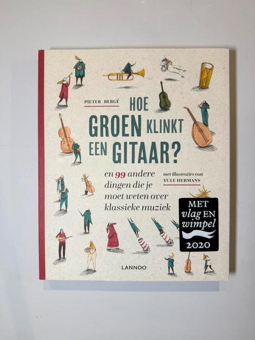 Pieter Bergé: Hoe groen klinkt een gitaar?, Boeken, Schoolboeken, Zo goed als nieuw, Muziek, Overige niveaus, Ophalen of Verzenden