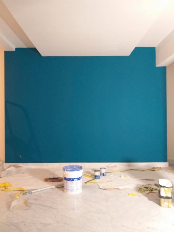 Professionnel en bâtiment peintre et plafonneur 0467812240, Vacatures, Vacatures | Bouwnijverheid