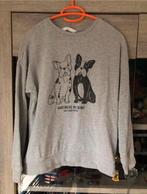 Grijze trui maat 164 Salt and Pepper, Enfants & Bébés, Vêtements enfant | Taille 164, Enlèvement, Comme neuf, Fille, Pull ou Veste