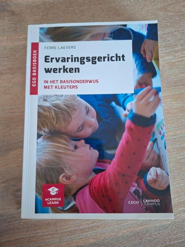 Ervaringsgericht werken in het basisonderwijs met kleuters, Livres, Livres d'étude & Cours, Comme neuf, Enlèvement ou Envoi