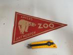 Antwerpen zoo vlag, Verzamelen, Ophalen of Verzenden, Zo goed als nieuw
