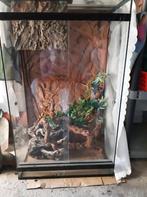 vivarium, Animaux & Accessoires, Comme neuf, Enlèvement