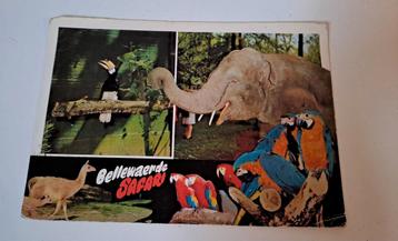 Bellewaerde postkaart beschikbaar voor biedingen