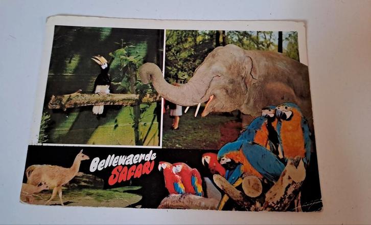 Bellewaerde postkaart, Verzamelen, Postkaarten | Themakaarten, Ongelopen, Ophalen