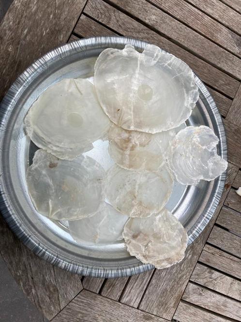 SCHELPEN 100 GRAM CAPIZ NIEUW, Huis en Inrichting, Woonaccessoires | Overige, Nieuw, Ophalen of Verzenden