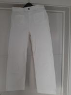 witte broek H&M 158, 12-13 jaar, Meisje, Ophalen of Verzenden, Broek, Zo goed als nieuw