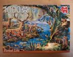 Puzzel Forest life - 1000 stukjes - Jumbo, Enlèvement