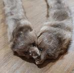 sjaal nerts, Enlèvement, Porté, Écharpe