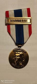 Médaille de la Protection Militaire du Territoire, Enlèvement