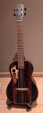 Bariton acoustisch-electrisch met nylon snaren in nieuwstaat, Ophalen