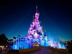 billets pour Disneyland (Paris), Tickets & Billets, Trois personnes ou plus, Ticket ou Carte d'accès