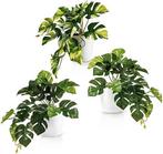 Monstera Set van 3 kunstplanten | GRATIS LEVERING, Binnen, PASCH, -, Verzenden