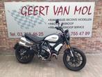 Ducati Scrambler 1100 pro, 2025, 2089 km, Motoren, 2 cilinders, Motorrijbewijs A, Bedrijf, Meer dan 35 kW