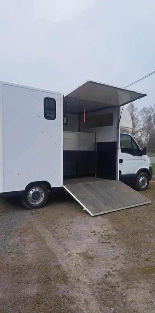 Opel Movano, Dieren en Toebehoren, Paarden en Pony's | Trailers en Aanhangwagens, Zo goed als nieuw, Ophalen of Verzenden