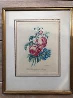 19e eeuwse gravure, Pierre Joseph Redouté, Ophalen of Verzenden