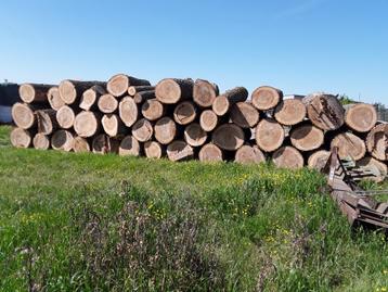 Brandhout, Enlèvement ou Envoi, Troncs d'arbres