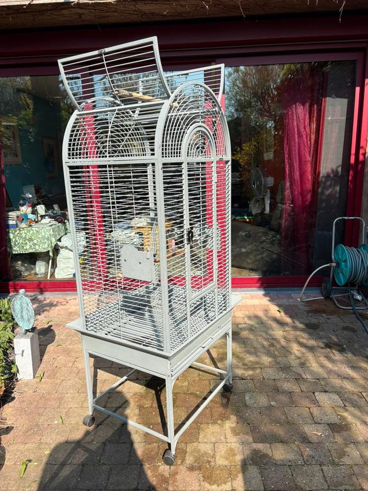 Cage pour perroquets, Animaux & Accessoires, Oiseaux | Cages & Volières, Comme neuf, Cage à oiseaux, Métal, Enlèvement