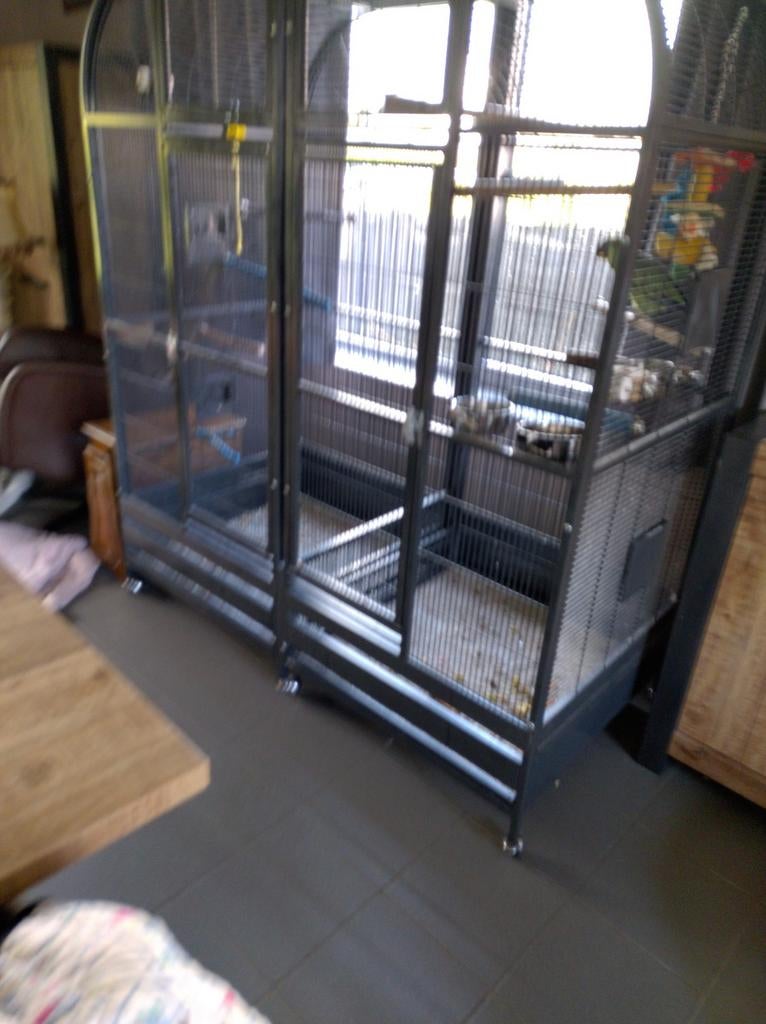 Grote papegaaenkooi, Animaux & Accessoires, Oiseaux | Cages & Volières, Enlèvement, Utilisé, Métal, Cage d'élevage