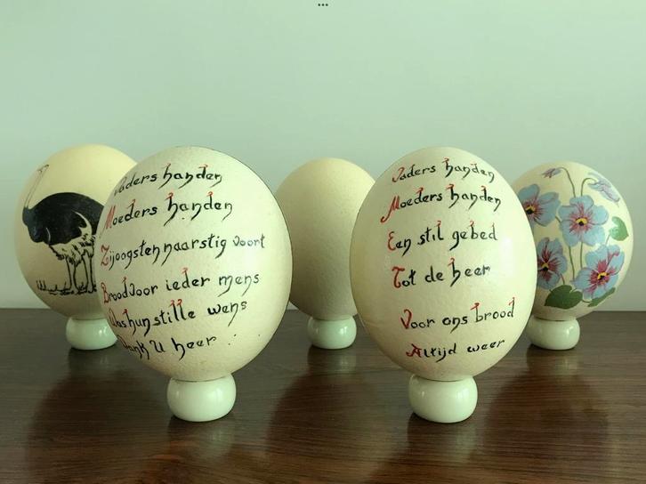 5 x struisvogelei struisvogel ei 4 beschilderd + 1 uni, Antiek en Kunst, Curiosa en Brocante, Ophalen of Verzenden