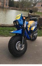 Fantic koala, Enlèvement