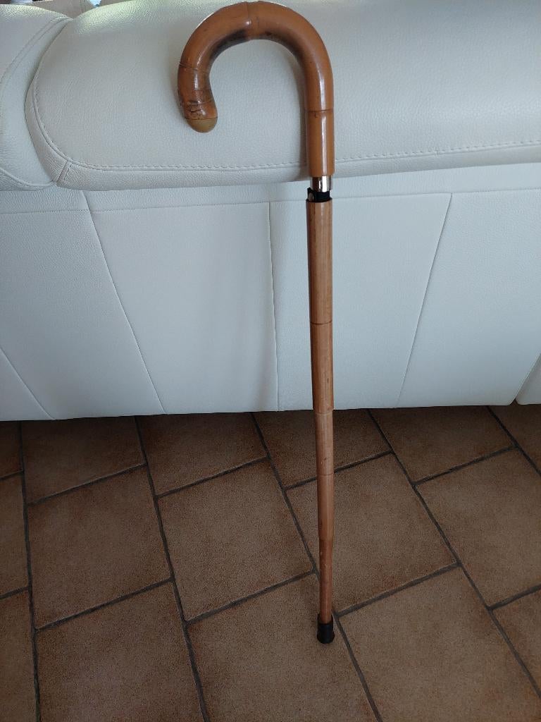 Très vieille canne parapluie, Enlèvement