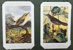 200 oude postkaarten thema vogels, Enlèvement