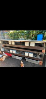 Konijnenhokken konijn gooien, Dieren en Toebehoren, Konijnen