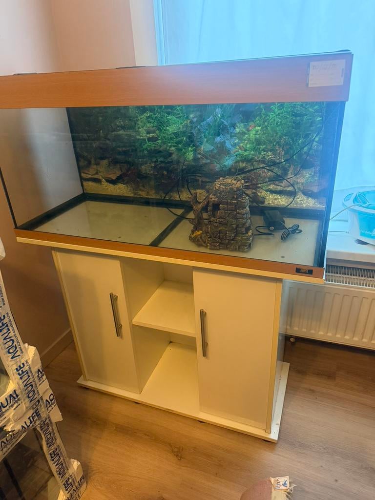 Aguarıum 100/41/50 alles ik kan je berengen, Dieren en Toebehoren, Vissen | Aquaria en Toebehoren, Ophalen of Verzenden, Zo goed als nieuw