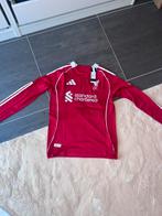 Szoboszlai number 8 shirt Size L @FC Liverpool 25-26, Ophalen of Verzenden, Zo goed als nieuw, Shirt