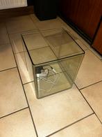 Viskom + lampje te koop, Dieren en Toebehoren, Ophalen, Zo goed als nieuw