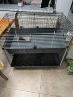 Konijnhok, Dieren en Toebehoren, Ophalen, Kooi, Gebruikt, 90 cm of meer