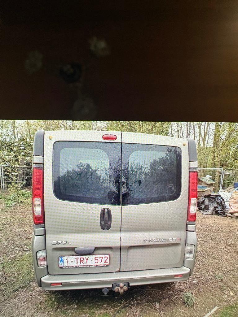 Opel Vivaro, Auto's, Bestelwagens en Lichte vracht, Particulier, Diesel, Te koop, Opel