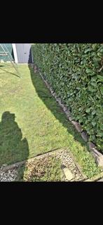 Kaseien gratis af te halen, Enlèvement, Comme neuf