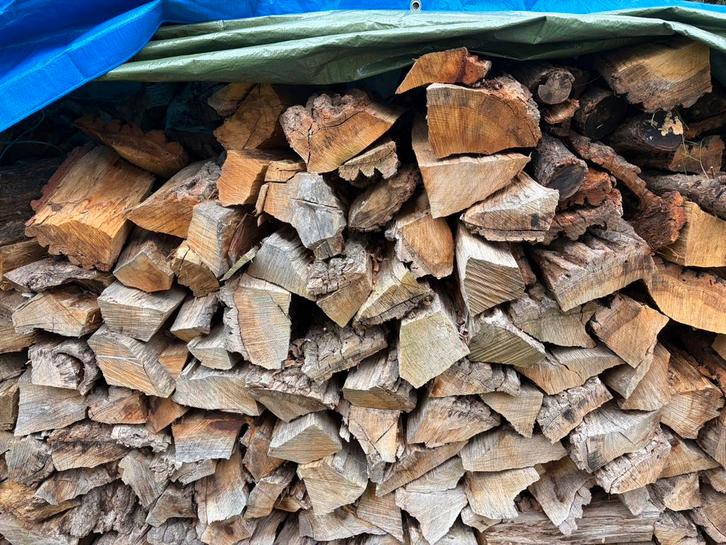 Droog eiken brandhout – 5 m³ – gezaagd en gekliefd, Jardin & Terrasse, Bois de chauffage, Bûches, Chêne, 3 à 6 m³, Enlèvement