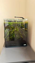 Aquarium Dennerle NanoCube 30 planté + accesoire, Animaux & Accessoires, Enlèvement, Comme neuf