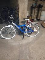 Velo, Vélos & Vélomoteurs