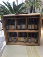 Vintage kanarie transportkooitjes, Ophalen, Gebruikt, Hout, Vogelkooi